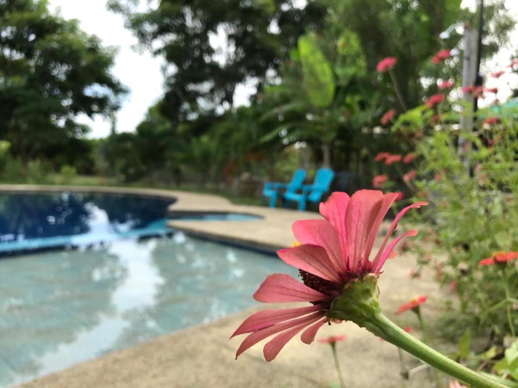 Quinta El Mamey Hotel Rio Verde  ภายนอก รูปภาพ
