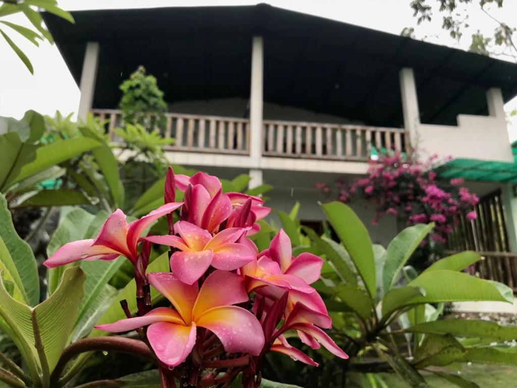 Quinta El Mamey Hotel Rio Verde  ภายนอก รูปภาพ