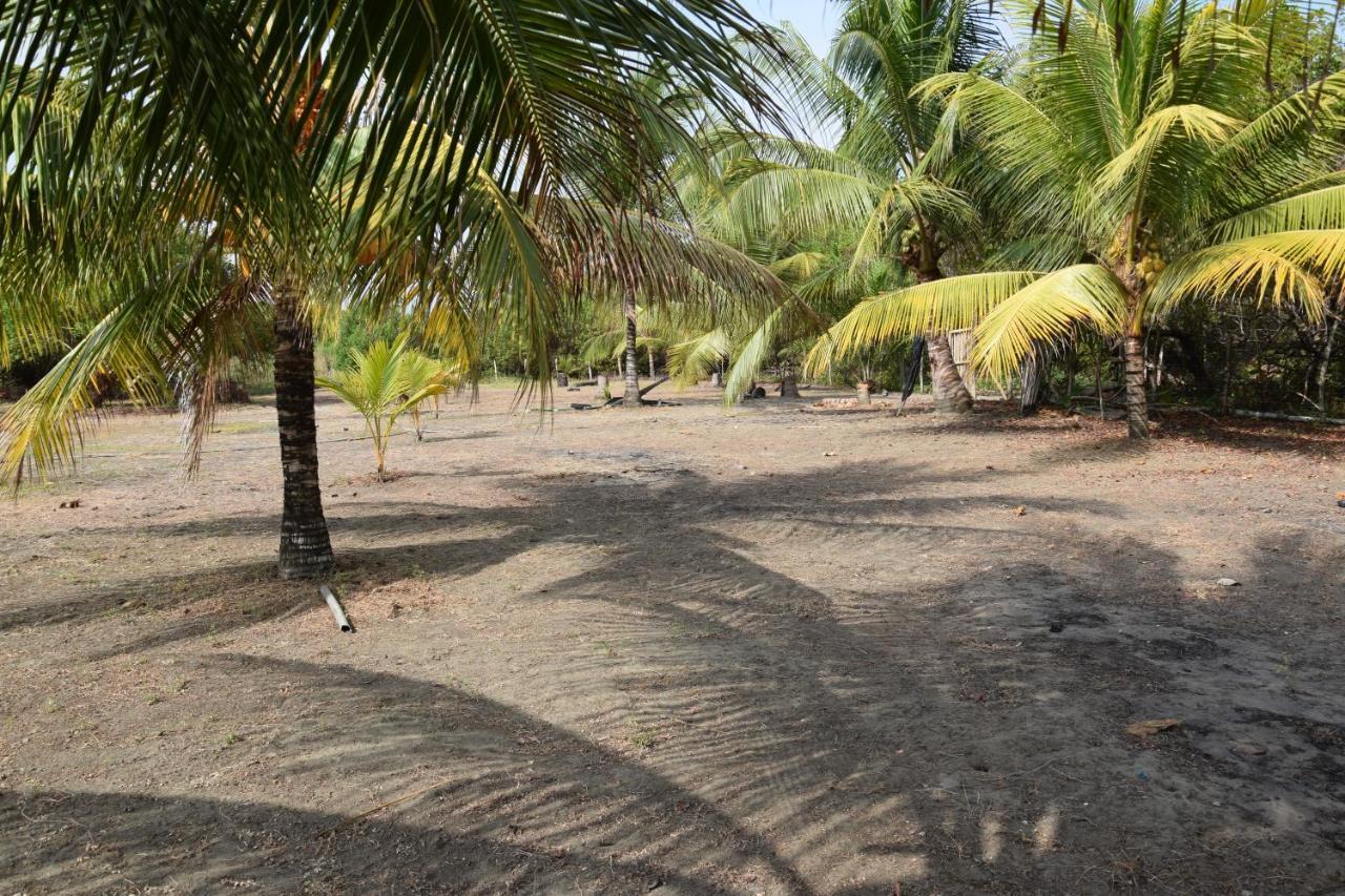 Quinta El Mamey Hotel Rio Verde  ภายนอก รูปภาพ